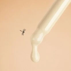 Elisir Botaniste Di Giovinezza Assoluta 30ml Immortalis Chaga Saeve 9 Elisir Botaniste Di Giovinezza Assoluta 30ml Immortalis Chaga Saeve -Corpo Vita Vendite 131043