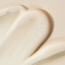 Elisir Botaniste Di Giovinezza Assoluta 30ml Immortalis Chaga Saeve 8 Elisir Botaniste Di Giovinezza Assoluta 30ml Immortalis Chaga Saeve -Corpo Vita Vendite 131044