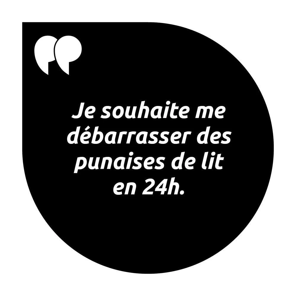 Trattamento Degli Ambienti Infetti 250ml Environnement Pouxit 2 Trattamento Degli Ambienti Infetti 250ml Environnement Pouxit - immagine 2