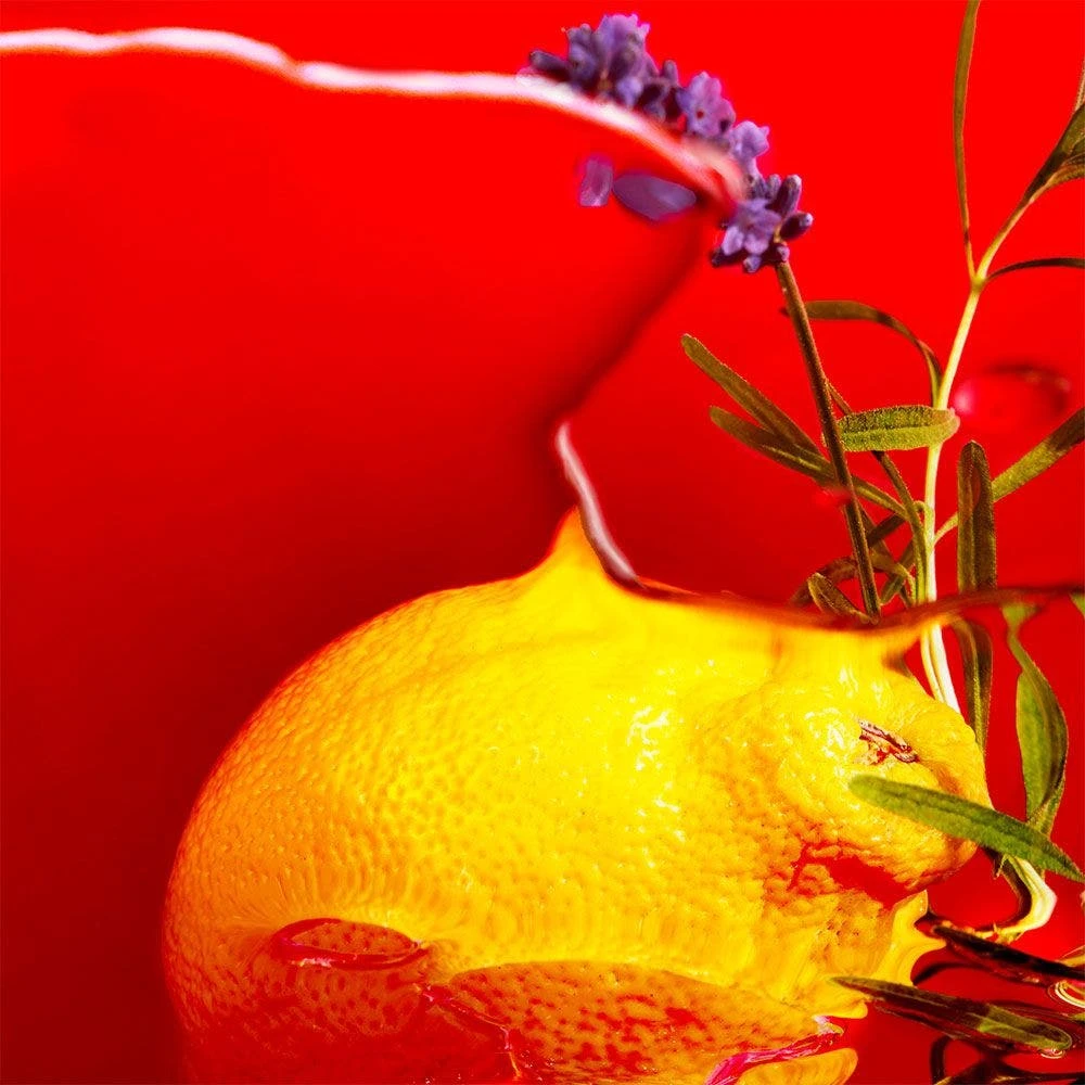 Acqua Di Colonia 500ml Jean-Marie Farina Edizione Limitata N°1806 Roger & Gallet♦Eau De Cologne 500ml Jean-Marie Farina Edizione Limitata N°1806 Roger & Gallet 3 Acqua Di Colonia 500ml Jean-Marie Farina Edizione Limitata N°1806 Roger & Gallet♦Eau De Cologne 500ml Jean-Marie Farina Edizione Limitata N°1806 Roger & Gallet - immagine 3