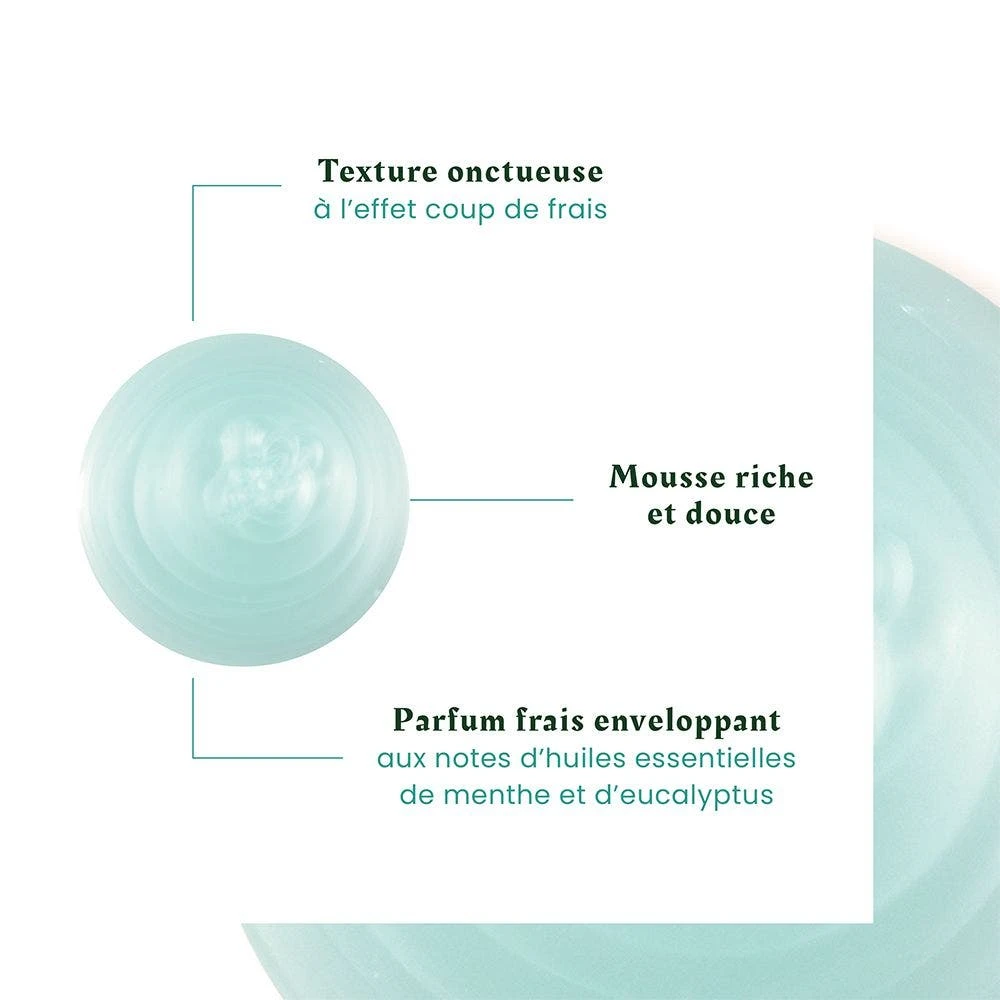 Shampoo Lenitivo Effetto Freschezza Cuoio Capelluto Irritato 200ml Astera René Furterer 6 Shampoo Lenitivo Effetto Freschezza Cuoio Capelluto Irritato 200ml Astera René Furterer - immagine 6