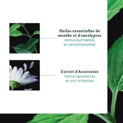 Shampoo Lenitivo Effetto Freschezza Cuoio Capelluto Irritato 200ml Astera René Furterer 13 Shampoo Lenitivo Effetto Freschezza Cuoio Capelluto Irritato 200ml Astera René Furterer -Corpo Vita Vendite 95166